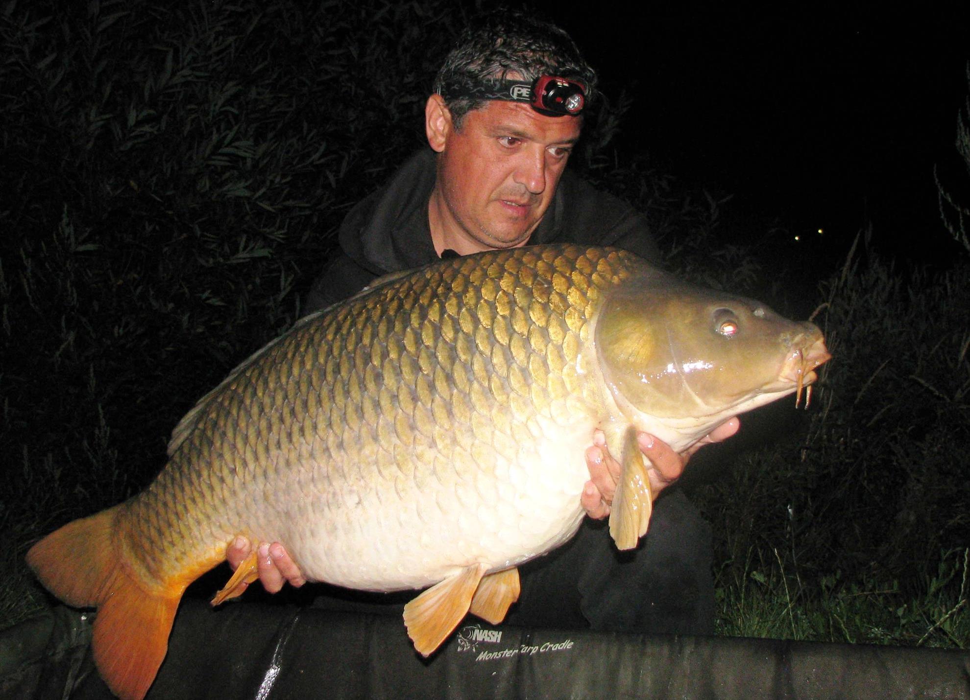 Harsany 21 - 27 iul. - img0209.JPG